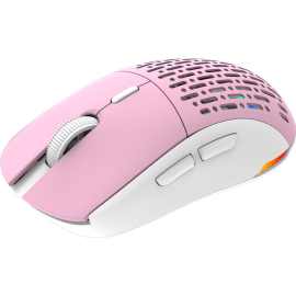 SOURIS SANS FIL GAMER AQIRYS TGA ALPHA