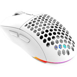 SOURIS SANS FIL GAMER AQIRYS TGA ALPHA