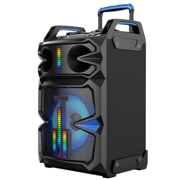 HAUT PARLEUR SANS FIL RECHARGEABLE GOLD SOUND GS L1017C