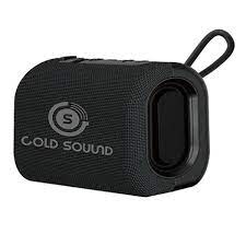 HAUT PARLEUR GOLD SOUND GS 21