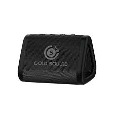 Haut Parleur Gold Sound gs-2240b